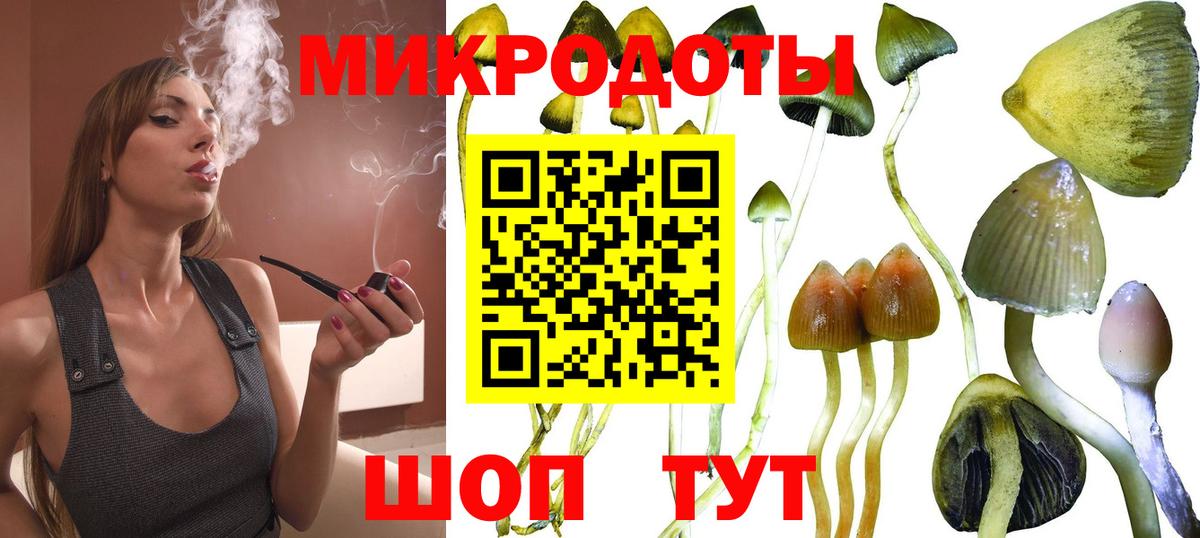 Алейск  Галлюциногенные грибы мицелий  Вход с VPN 